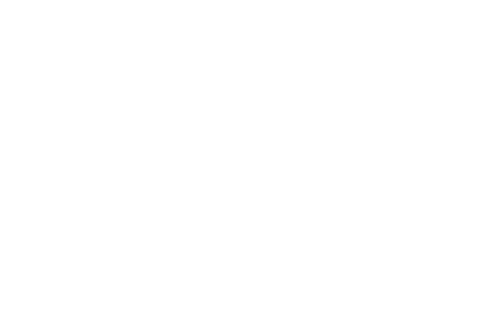 Metro Auto Body, Inc. — Est. 1957
